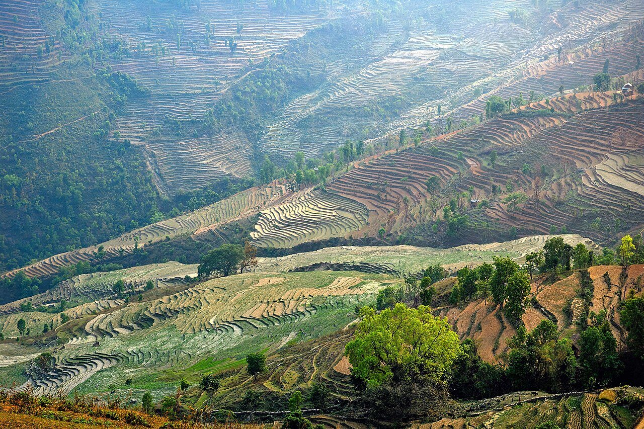 Hundreds of agricultural terraces tracing green hillsides in Dhading, Nepal