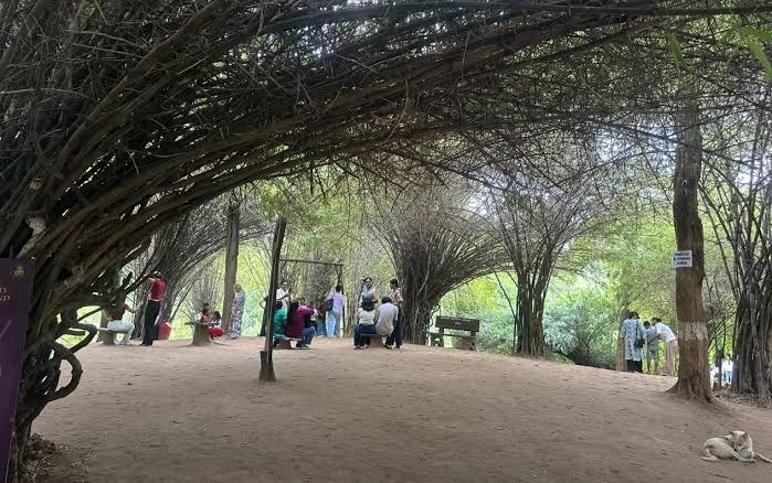 Domestic visitors walking through the bamboo-lined Banse Gufa in Kanepokhari Rural Municipality-6, Morang.